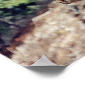 Chipmunk Poster (Ecke)