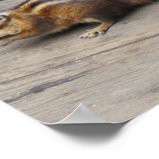 Chipmunk Poster (Ecke)