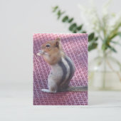 Chipmunk Postkarte (Stehend Vorderseite)