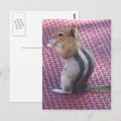 Chipmunk Postkarte (Vorne/Hinten)