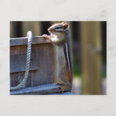 Chipmunk Postkarte (Vorderseite)