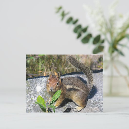 Chipmunk Postkarte (Stehend Vorderseite)