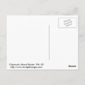 Chipmunk Postkarte (Rückseite)