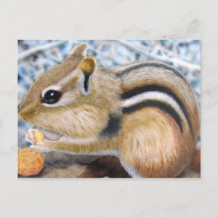 Chipmunk Postkarte