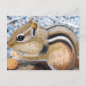 Chipmunk Postkarte (Vorderseite)