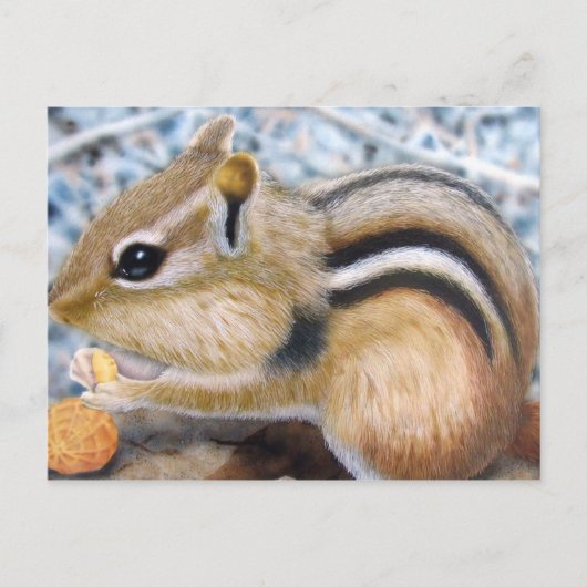 Chipmunk Postkarte (Vorderseite)