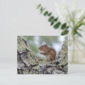 Chipmunk Postkarte (Stehend Vorderseite)