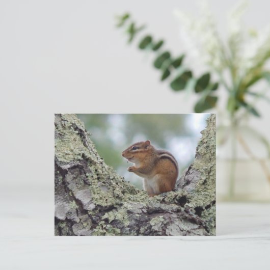 Chipmunk Postkarte (Stehend Vorderseite)