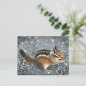 Chipmunk Postkarte (Stehend Vorderseite)