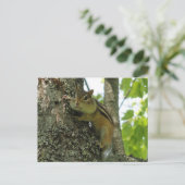 Chipmunk Postkarte (Stehend Vorderseite)