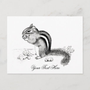 Chipmunk-Postkarte Postkarte