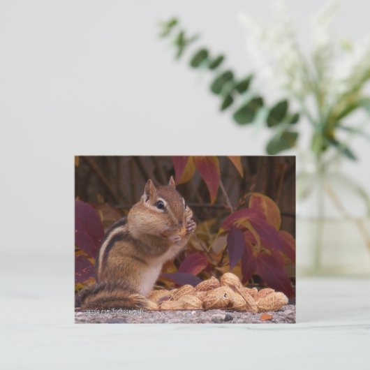 Chipmunk-Postkarte Postkarte (Stehend Vorderseite)