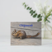 Chipmunk-Postkarte Postkarte (Stehend Vorderseite)