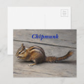 Chipmunk-Postkarte Postkarte (Vorne/Hinten)