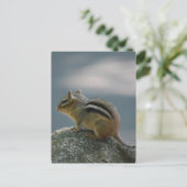 Chipmunk-Postkarte Postkarte (Stehend Vorderseite)