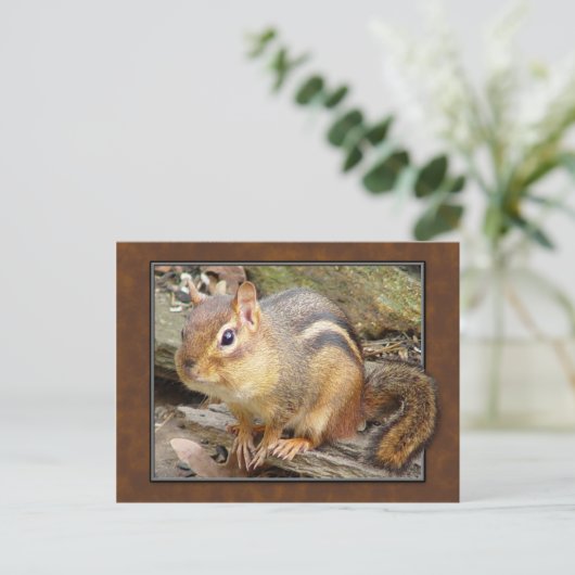 Chipmunk-Postkarte Postkarte (Stehend Vorderseite)