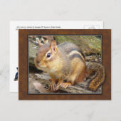 Chipmunk-Postkarte Postkarte (Vorne/Hinten)