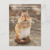 Chipmunk-Preisliste Postkarte (Vorderseite)