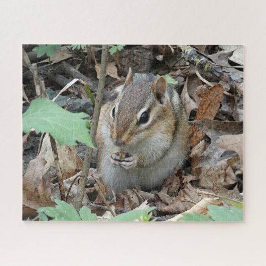Chipmunk-Puzzlespiel Puzzle (Horizontal)