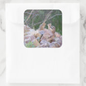 Chipmunk Quadratischer Aufkleber (Tasche)