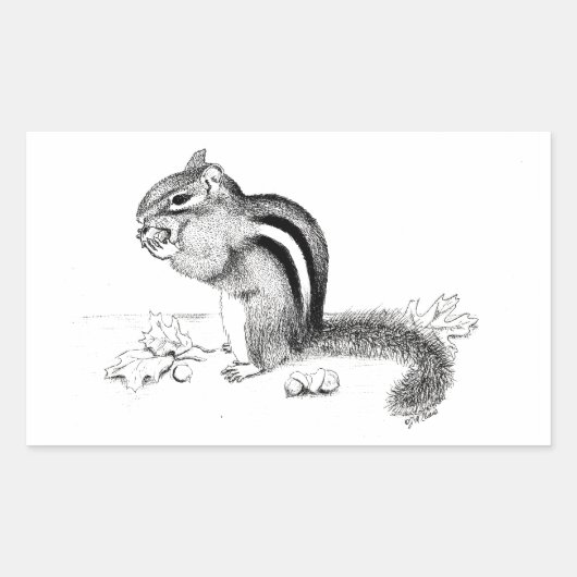 Chipmunk Rechteckiger Aufkleber (Vorderseite)