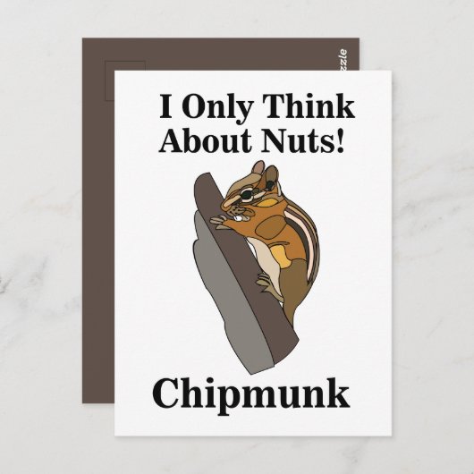 Chipmunk Rodent Funny Postkarte (Vorne/Hinten)