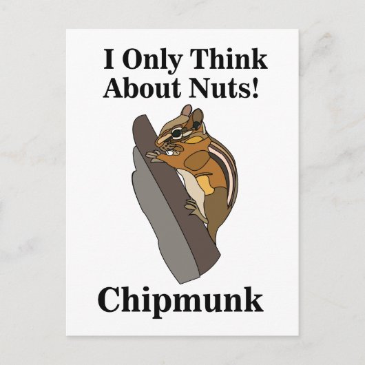 Chipmunk Rodent Funny Postkarte (Vorderseite)