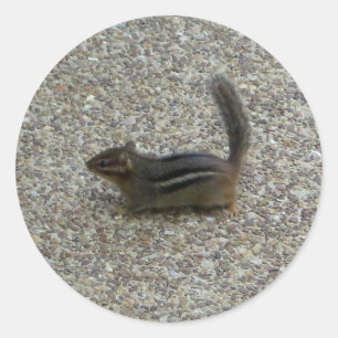 Chipmunk Runder Aufkleber