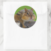 Chipmunk Runder Aufkleber (Tasche)