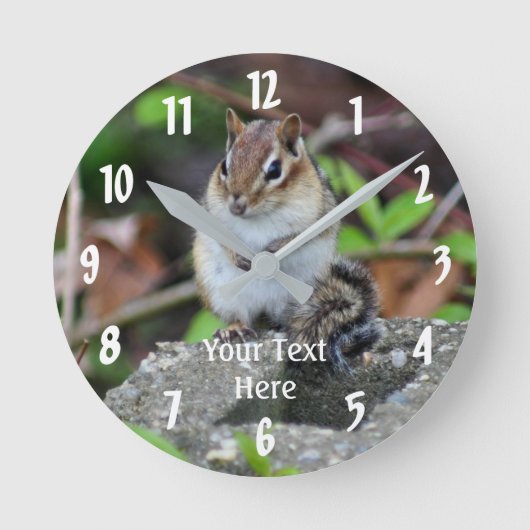 Chipmunk Sitting Animal Runde Wanduhr (Vorderseite)