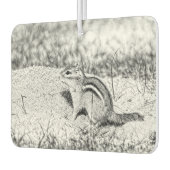 Chipmunk Sketch Autolufterfrischer (Links)