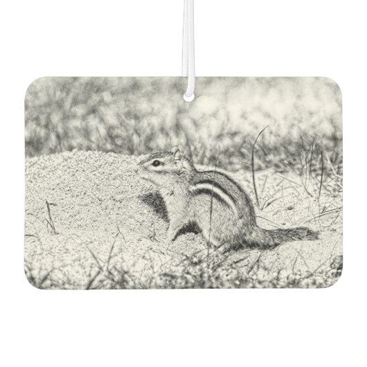 Chipmunk Sketch Autolufterfrischer (Vorderseite)