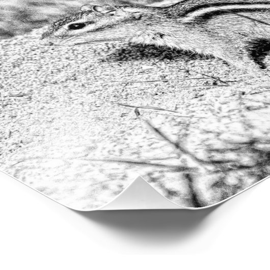 Chipmunk Sketch Fotodruck (Ecke)