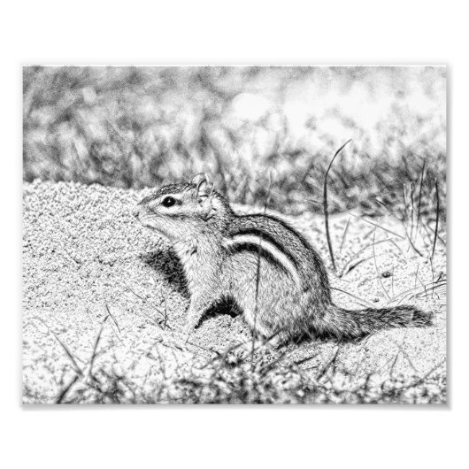 Chipmunk Sketch Fotodruck (Vorne)