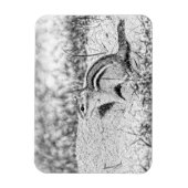 Chipmunk Sketch Magnet (Vertikal)