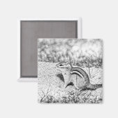 Chipmunk Sketch Magnet (Vorderseite/Rückseite)