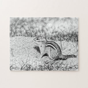 Chipmunk Sketch Puzzle