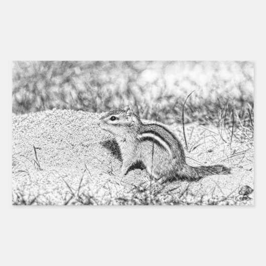 Chipmunk Sketch Rechteckiger Aufkleber (Vorderseite)