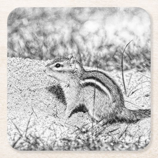 Chipmunk Sketch Rechteckiger Pappuntersetzer (Vorderseite)