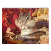 chipmunk,Squirrel,photo,calendar Kalender (Titelbild)