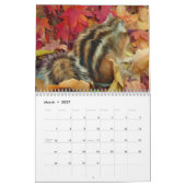chipmunk,Squirrel,photo,calendar Kalender (Mär 2027)