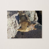 Chipmunk Stare Down Puzzle (Horizontal)