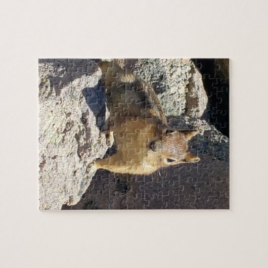 Chipmunk Stare Down Puzzle (Horizontal)