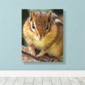 Chipmunk Stare Leinwanddruck (Insitu (Holzboden))