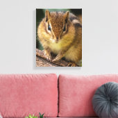 Chipmunk Stare Leinwanddruck (Insitu (Wohnzimmer))