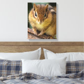 Chipmunk Stare Leinwanddruck (Insitu (Schlafzimmer))