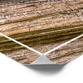 Chipmunk Stare Poster (Ecke)