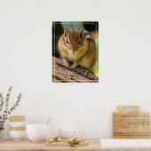 Chipmunk Stare Poster (Küche)