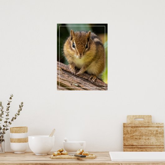 Chipmunk Stare Poster (Küche)