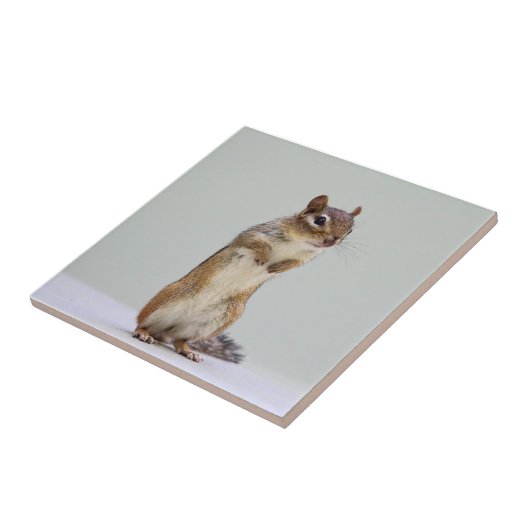 Chipmunk-stehendes hohes Foto Fliese (Seite)